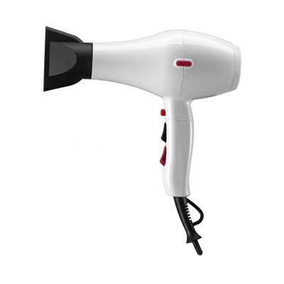 1701(Household ionic blow dryer)