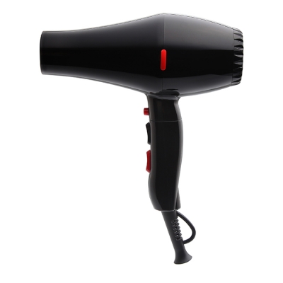 1806(Ionic function hair dryer)