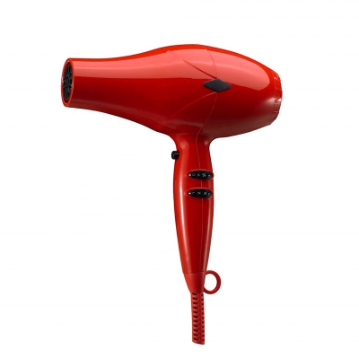 9160(Portable salon hair dryer)